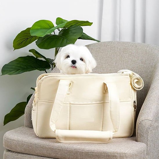 sac de transport chien confort sécurité