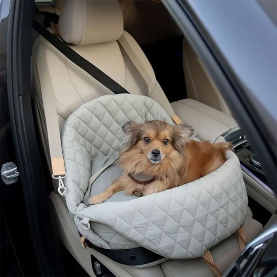 sac de transport de chien ventilation espace confortable