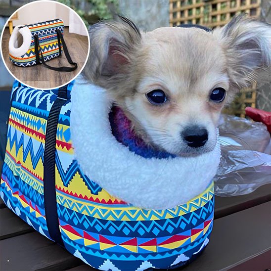 sac de transport pour chien confortable ventilation