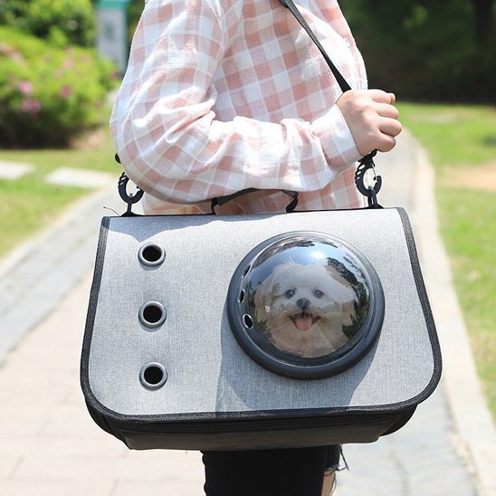 petit chien dans un Sac de transport pour chien fermé aéré 