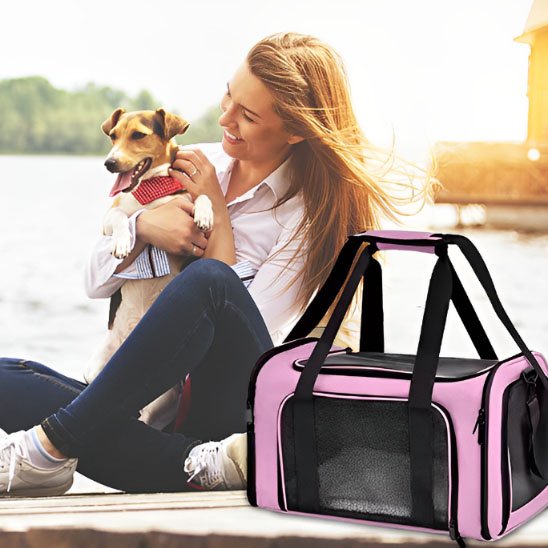 sac pour chien transport confortable ventilation filet