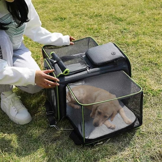 sac pour transport chien bandoulière ajustable