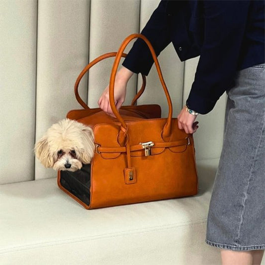 sac pour transporter chien confortable pratique