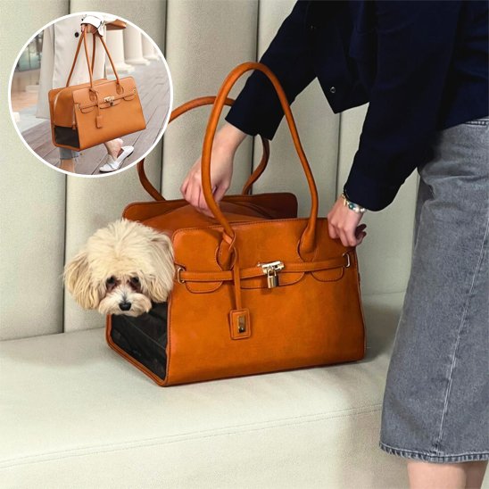 sac pour transporter chien randonnée urbaine
