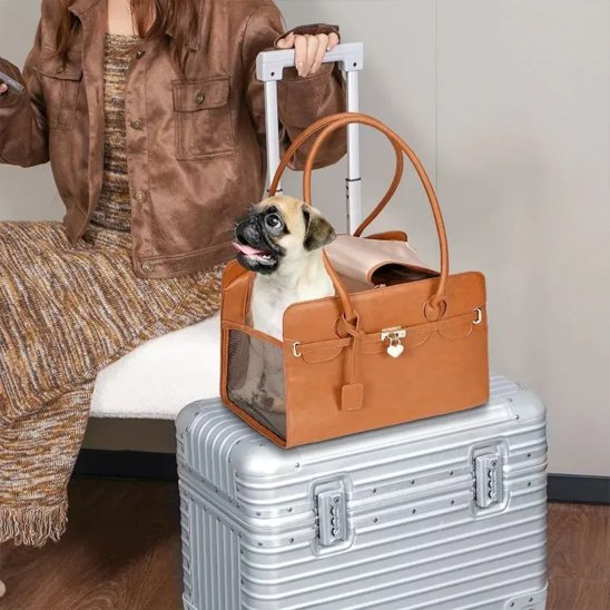 sac pour transporter chien voyage sécurisé