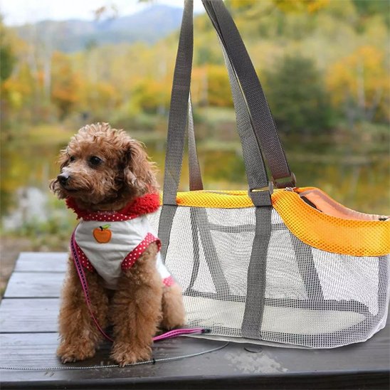 sac pour transporter un chien accessoire voyage