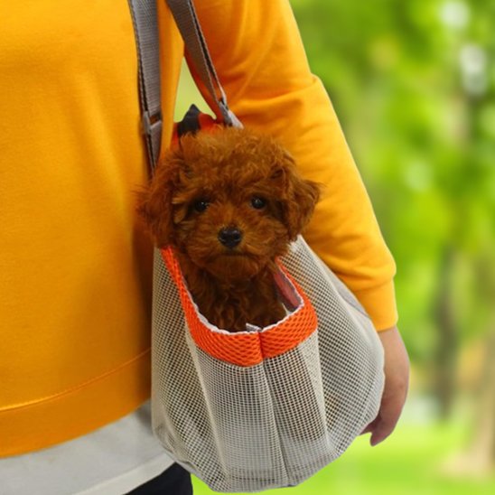 sac pour transporter un chien déplacement urbain