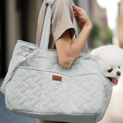 sac transport pour chien usage quotidien