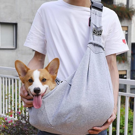 sacs de transport pour chien design moderne