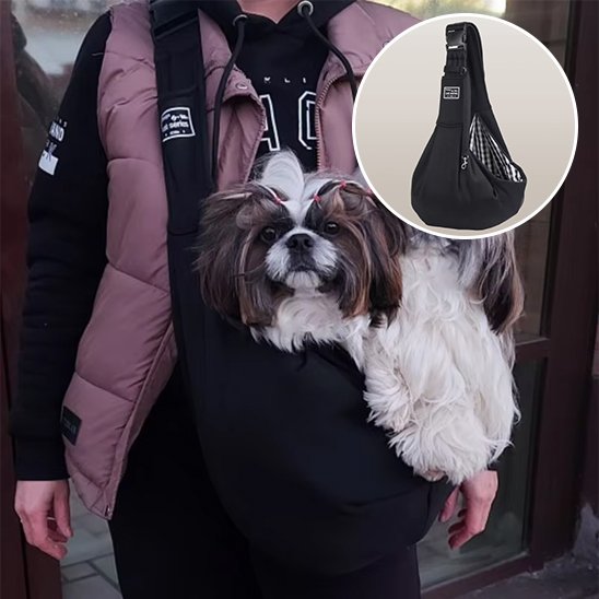 sacs de transport pour chien maille aérée