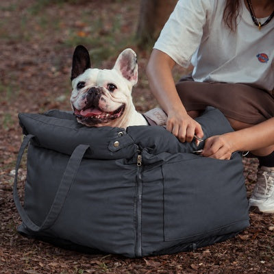 siège auto chien 10 kg chien dans coussin