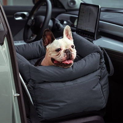 siège auto chien 10 kg fixe sur banquette
