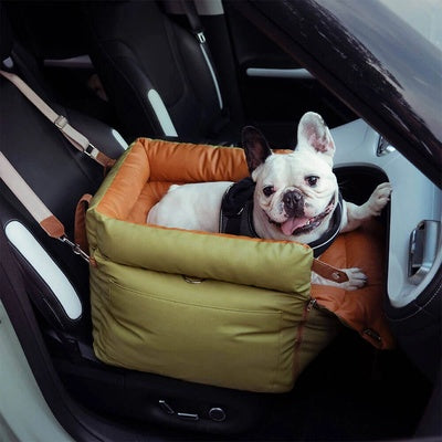 siège auto chien 10 kg installe voiture