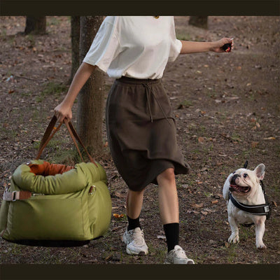 siège auto chien 10 kg porte main
