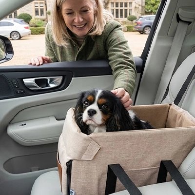 siège auto chien confort pour petit chien
