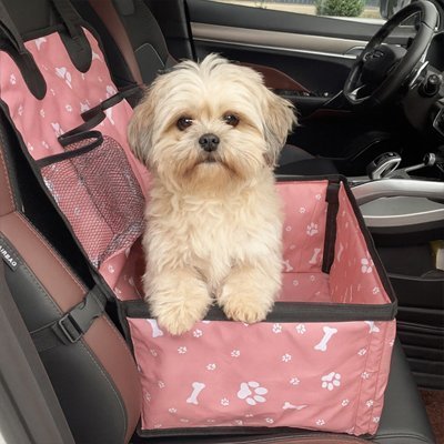 petit chien dans un Siege auto chien rose