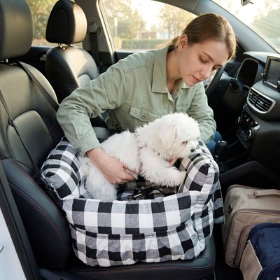siège auto chien fixation sécurisée 