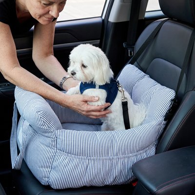 siège auto chien rembourrage moelleux 