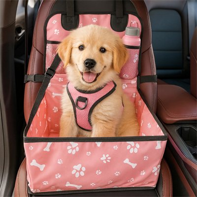 siege auto chien sécurité voiture