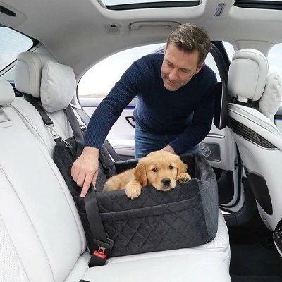 siege auto chien voiture fixation stable 