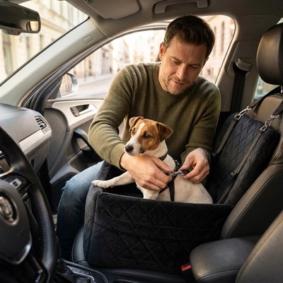 siege auto chien voiture installation facile 