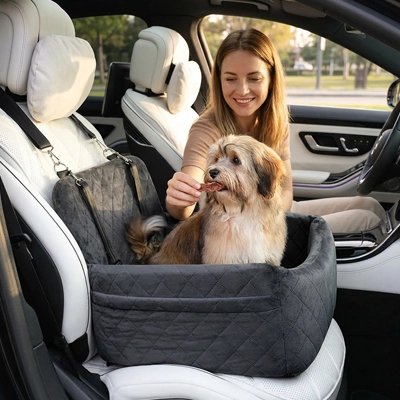 siege auto chien voiture petit chien voyage