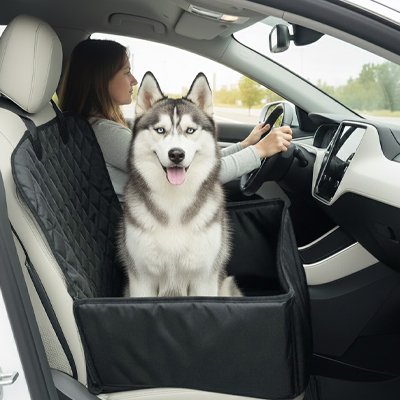 siege auto chiens installation facile