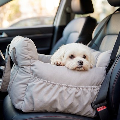 siège auto pour chien 10 kg confortable