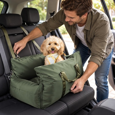 siege auto pour chien 10 kg sécurité voyage