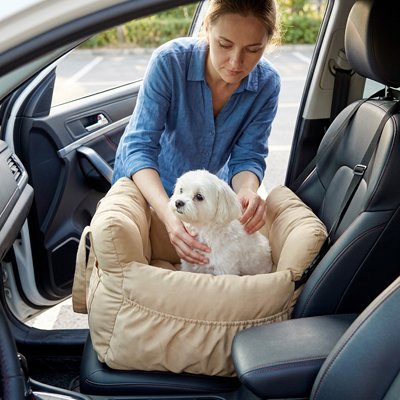 siège auto pour chien 10 kg transport sécurisé 
