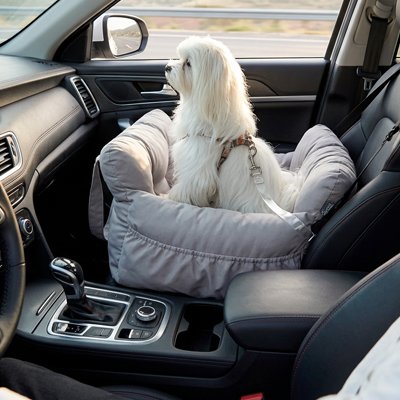 siège auto pour chien 10 kg voiture 
