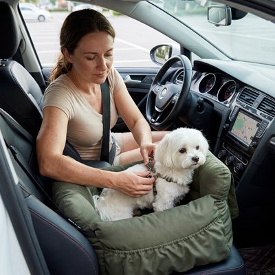 siège auto pour chien confort voiture