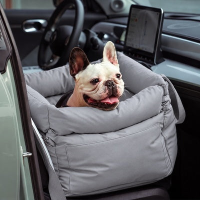 siege auto pour chien de 10 kg bien installé