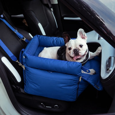 siege auto pour chien de 10 kg dans voiture