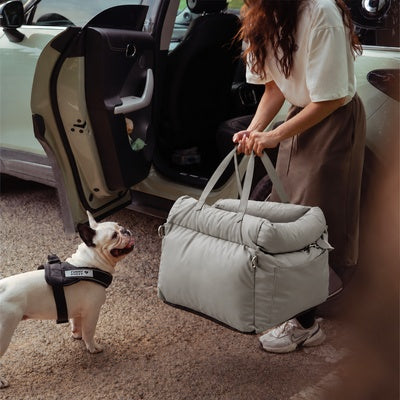 siege auto pour chien de 10 kg pour trajet