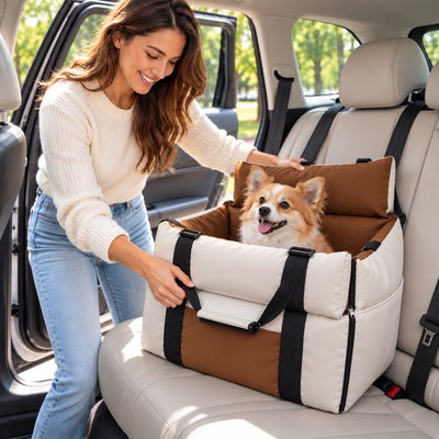 siège auto pour chien de 10 kg voiture sécurisée