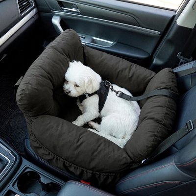 siège auto pour chien fixation stable