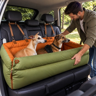 siege auto pour chien grande taille installation facile