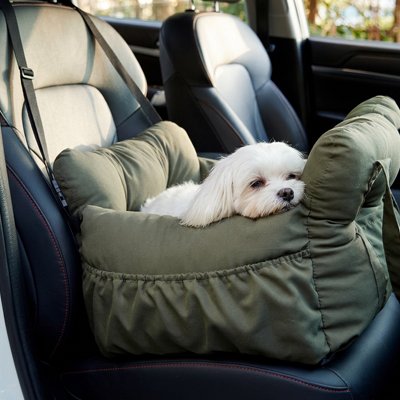 siège auto pour chien petit chien
