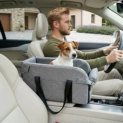 siège auto pour chien petit format