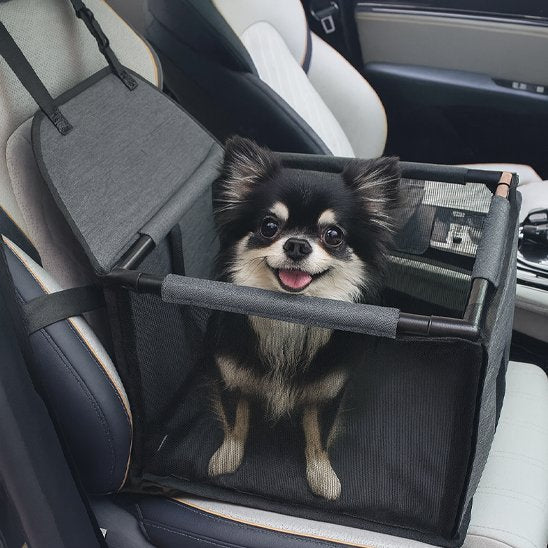 petit chien dans un Siege auto pour chien gris foncé