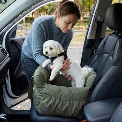 siège auto pour chien sécurité trajet
