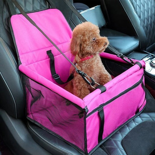 petit chien dans un Siege auto pour chien rose