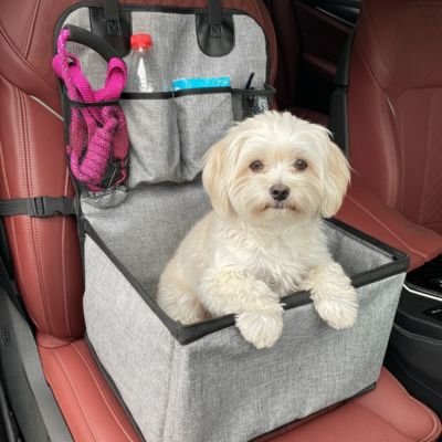siege auto pour chiens avec poches rangement
