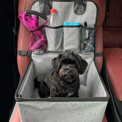 siege auto pour chiens petit chien transport
