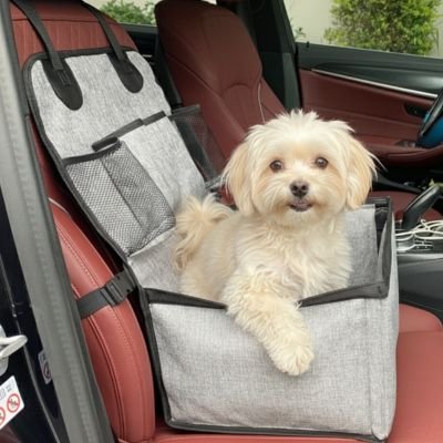 siege auto pour chiens sécurité voiture