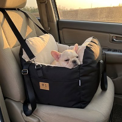 siege auto pour chiens trajets confortables