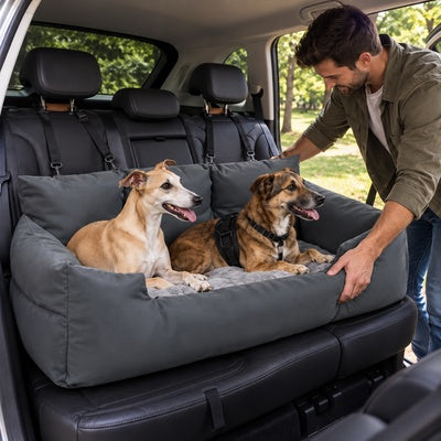 siege auto pour grand chien voiture sécurisé