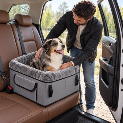 siège voiture pour chien jusqu'à 10 kg homme chien heureux