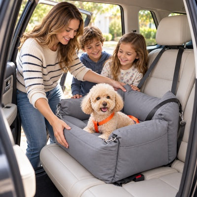 siege voiture pour chien jusqu'a 10 kg installation familiale